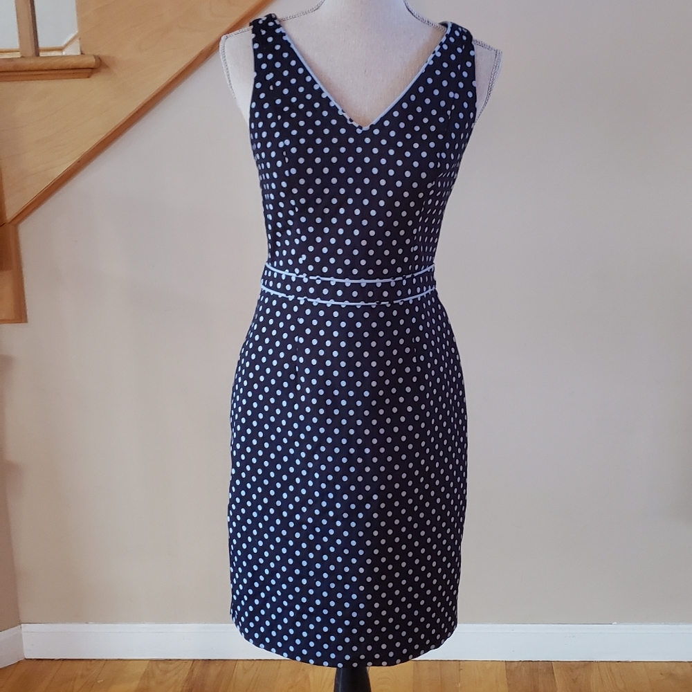 The Limited Polka Dot Dress